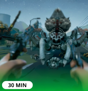 Normal 30 min